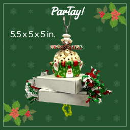 Partay! Parrot Toy-For Small to Medium Birds